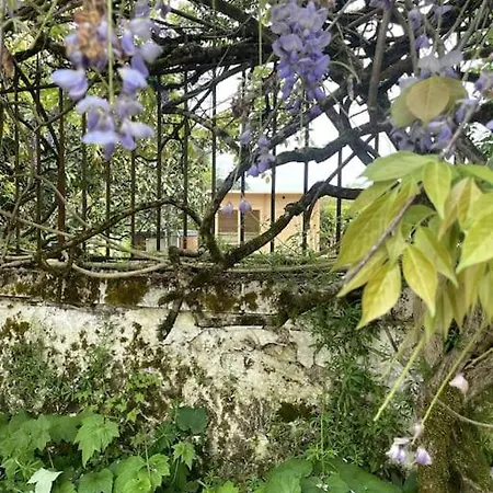 Gite Lilas Ideal Pour 4 Pers Capian Exterior foto