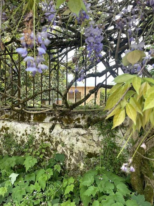 Lilas Ideal Pour 4 Pers Holiday home Capian